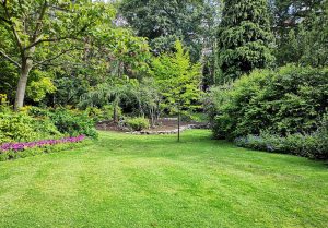 Optimiser l'expérience du jardin à Saint-Sauveur-les-Bray